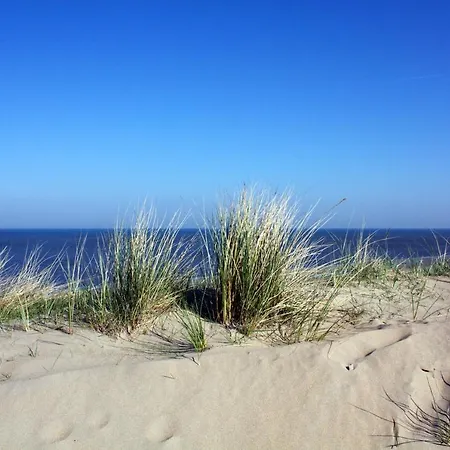 Klein Centraal En Rustig Gelegen Strandhuis Holiday home Noordwijk